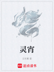 灵宵在线阅读