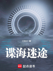 谍海迷途在线阅读