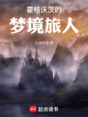 霍格沃茨的梦境旅人