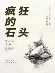 疯狂的石头在线阅读