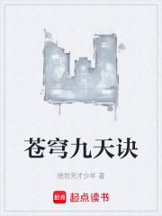 苍穹九天诀在线阅读