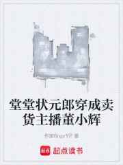 堂堂状元郎穿成卖货主播董小辉