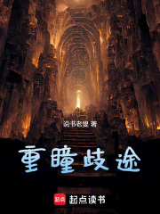 重瞳歧途在线阅读