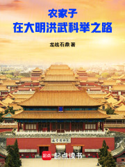 农家子在大明洪武科举之路