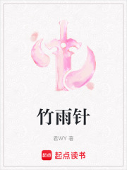 竹雨针