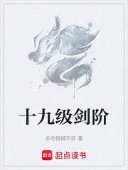 十九级剑阶在线阅读