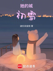 她的城，初雪在线阅读