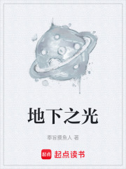 地下之光在线阅读