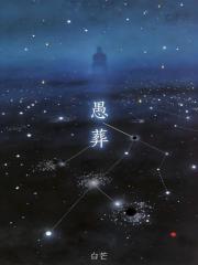 愚葬在线阅读