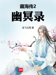 藏海传2：幽冥录