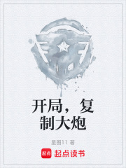 开局，复制大炮在线阅读
