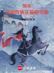 明末：开局阵斩正蓝旗贝勒在线阅读