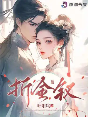 《折金钗》（校对全本）作者：叶阳岚【TXT】