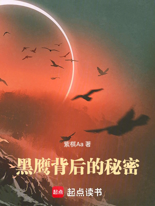 黑鹰背后的秘密