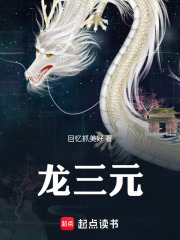 龙三元在线阅读