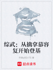 综武：从擒拿慕容复开始登基在线阅读