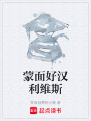 蒙面好汉利维斯在线阅读