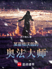 某霍格沃兹的奥法大师在线阅读