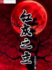 红灰之主在线阅读