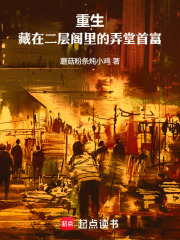 重生，藏在二层阁里的弄堂首富在线阅读