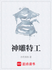 神雕特工在线阅读