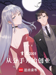 重启2003：从分手开始创业在线阅读