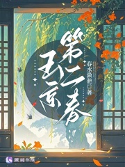 玉京第二春在线阅读