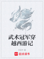 武术冠军穿越西游记