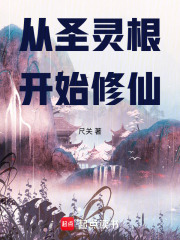 从圣灵根开始修仙