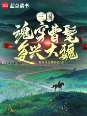 三国：魂穿曹髦复兴大魏