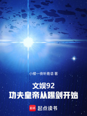 文娱92，功夫皇帝从踢剑开始在线阅读