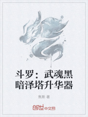 武魂黑暗