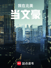 我在北美当文豪