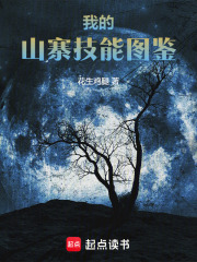 我的山寨技能图鉴在线阅读