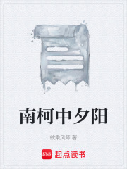 南柯中夕阳在线阅读