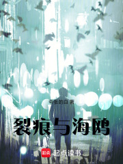 裂痕与海鸥在线阅读