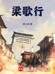 关于我穿越到大梁成为镇北王这事