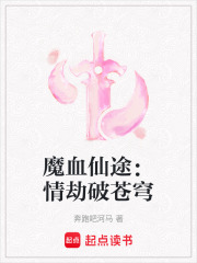 魔血仙途：情劫破苍穹在线阅读