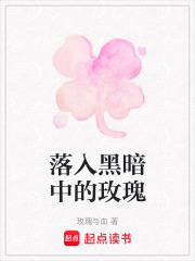 落入黑暗中的玫瑰在线阅读