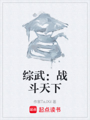 综武：战斗天下在线阅读