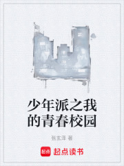 少年派之我的青春校园在线阅读