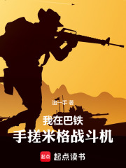 我在巴铁手搓米格战斗机