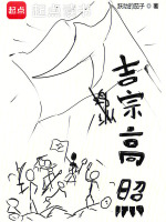 吉宗高照封面