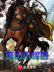 嵩山小悍匪在线阅读
