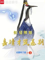 倭寇别怕，嘉靖才筑基期