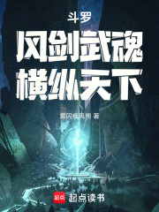 斗罗：风剑武魂，横纵天下