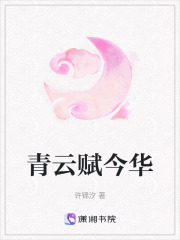 青云赋今华在线阅读