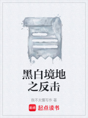 黑白境地之反击在线阅读