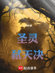 圣灵弑天决在线阅读