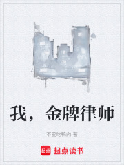 金牌律师